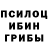 Галлюциногенные грибы Psilocybe Cheri Stevens
