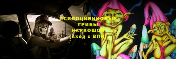 PSILOCYBIN Балабаново